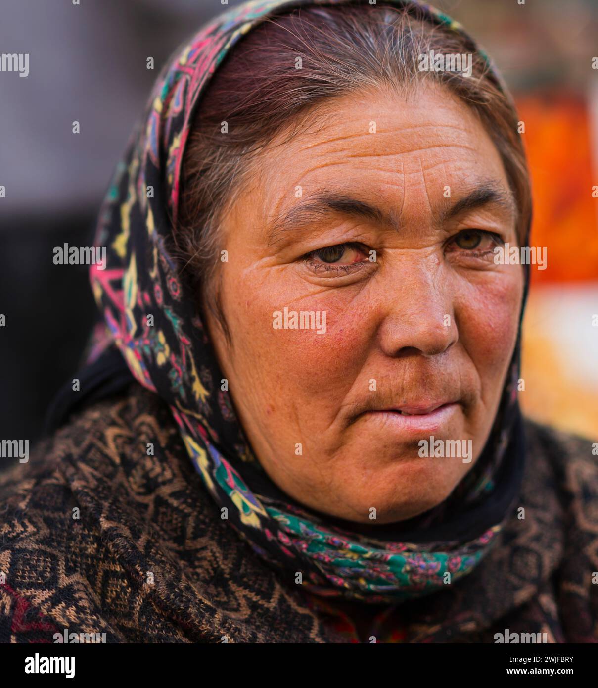 Portrait d'une femme ladakhi portant un foulard, regardant la caméra. Banque D'Images