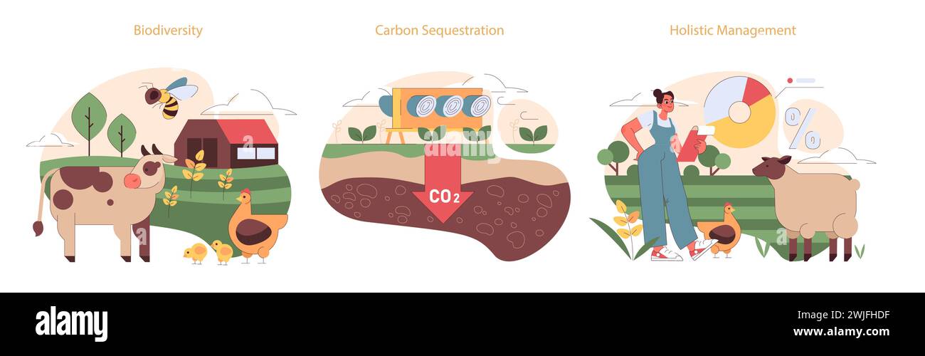 Ensemble d'approches pour l'agriculture régénérative. Promouvoir la biodiversité agricole, la séquestration efficace du carbone et la gestion holistique pour la durabilité. Renforcer la vitalité des écosystèmes. Illustration de Vecteur