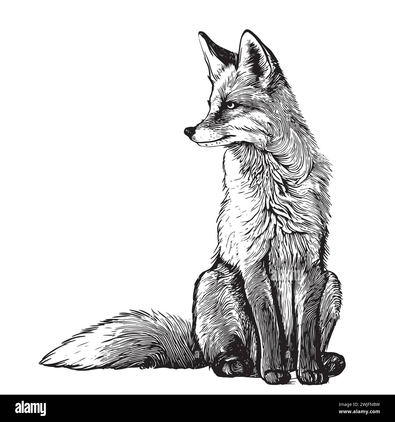 Illustration vectorielle dessinée à la main de renard assis Illustration de Vecteur