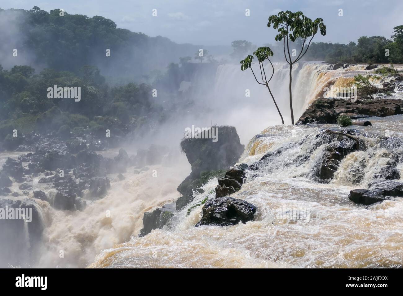 Parc national d'Iguazu, Argentine. Chutes d'Iguazu - circuit supérieur (supérieur) Banque D'Images