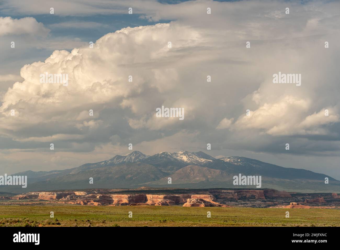 Falaises de Cameo et les montagnes de la Sal, dans le sud de l'Utah. Banque D'Images