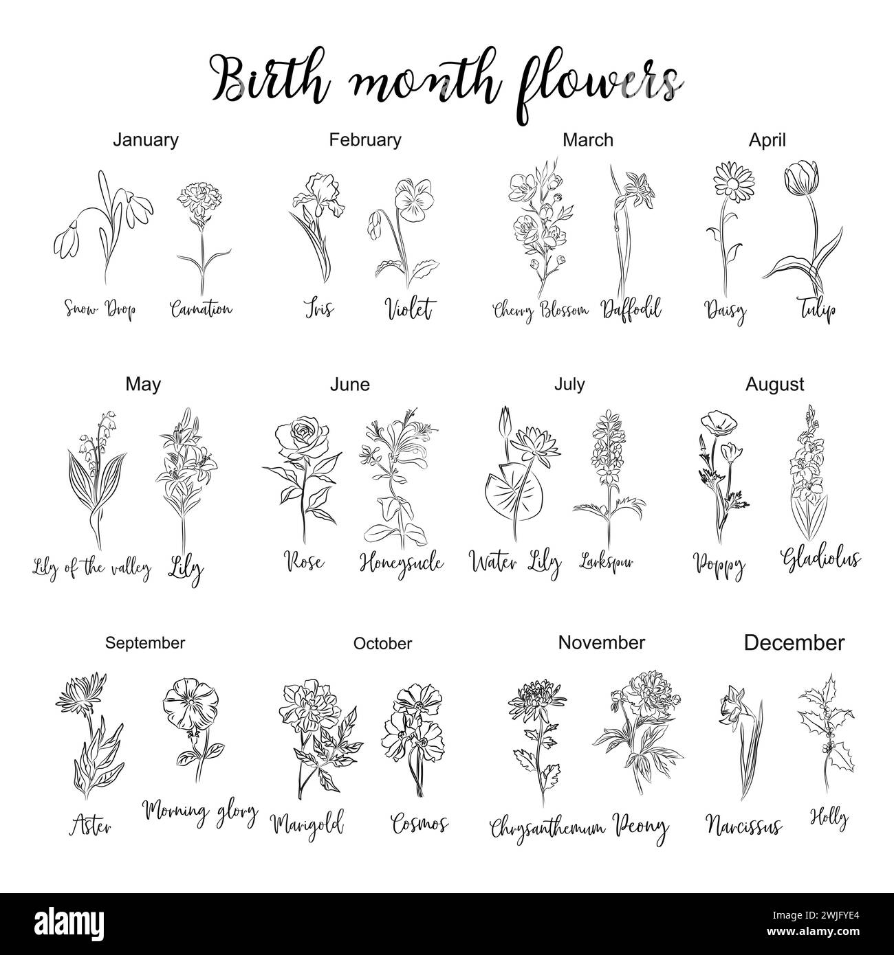 Fleurs du mois de naissance graphique dessins d'art de ligne. Illustration de Vecteur