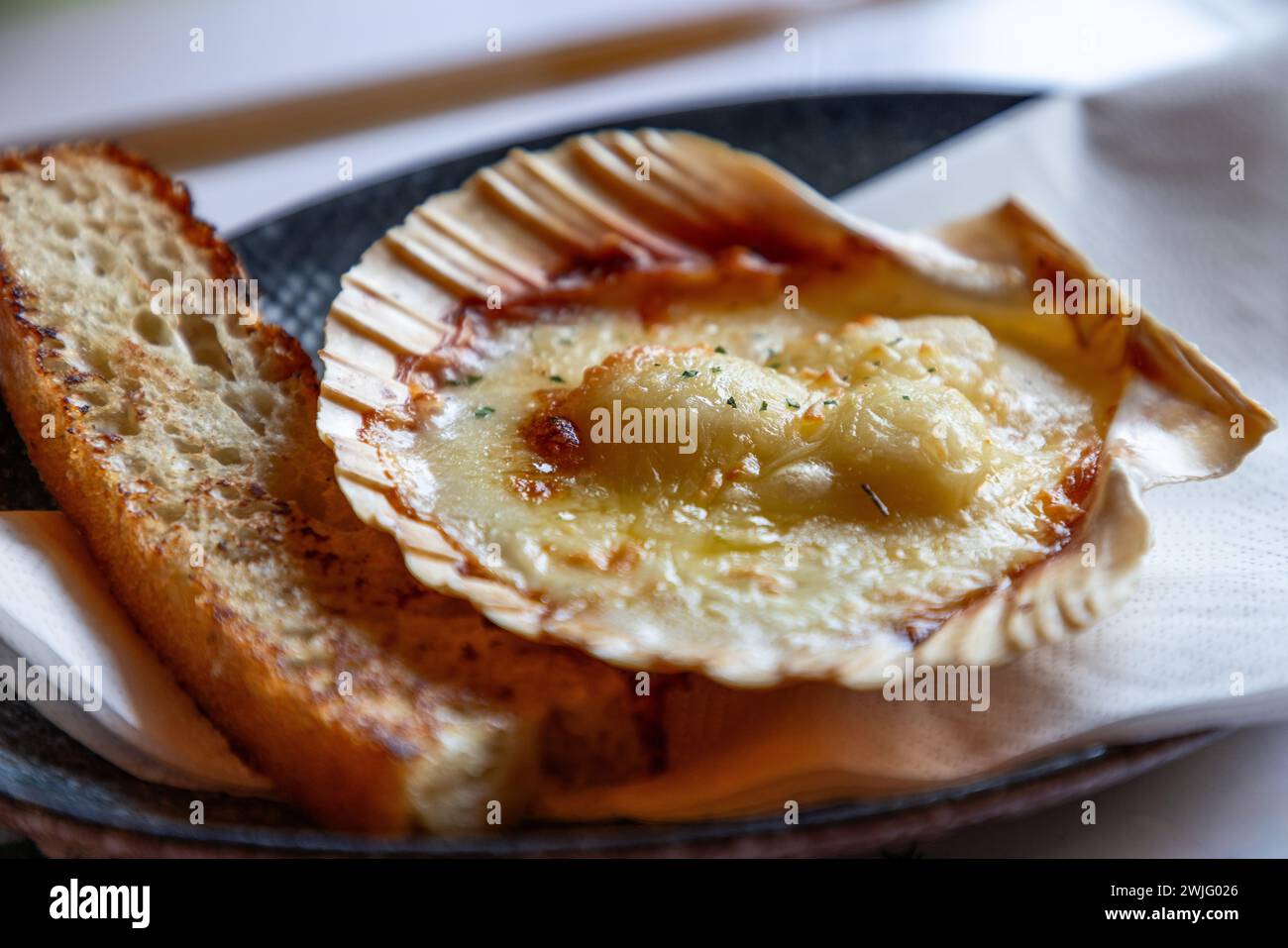 Un Saint-Jacques parfaitement cuit, gratiné au fromage, servi dans sa coquille avec du pain croustillant, une délicatesse des îles Lofoten. Norvège Banque D'Images