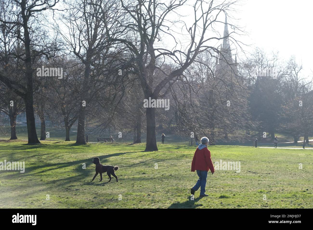 Une femme d'âge moyen emmène le caniche se promener dans le parc Greenwich, au sud-est de Londres, au Royaume-Uni Banque D'Images