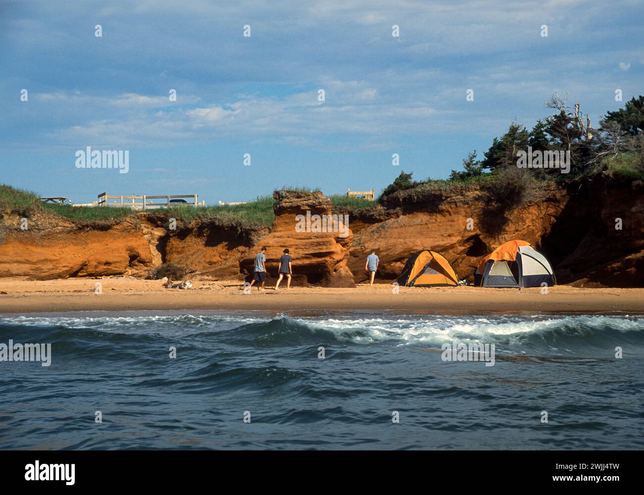 Falaises de grès sur la rive de l'île d'Entree, îles D'Madeleine (Îles-de-la-Madeleine)Golfe du Saint-Laurent, Québec, Canada.nidification des oiseaux marins Guillemot. Banque D'Images