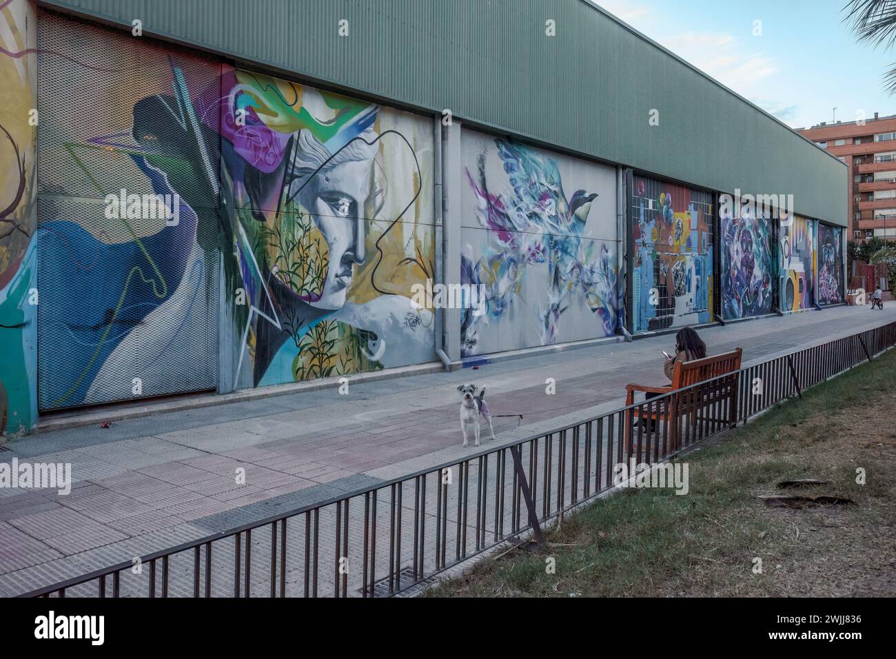 Projet du Bureau municipal des graffitis du Département de l'infrastructure, des travaux et des services publics avec le collectif Murcia Street Art Project. Banque D'Images