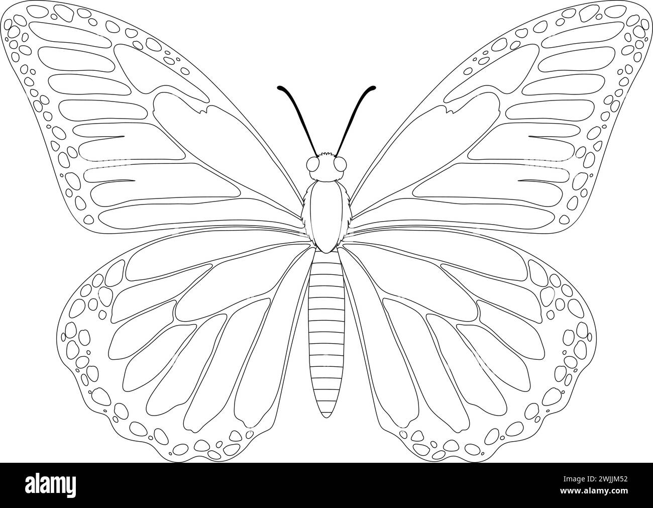 Contour noir et blanc d'un papillon Illustration de Vecteur