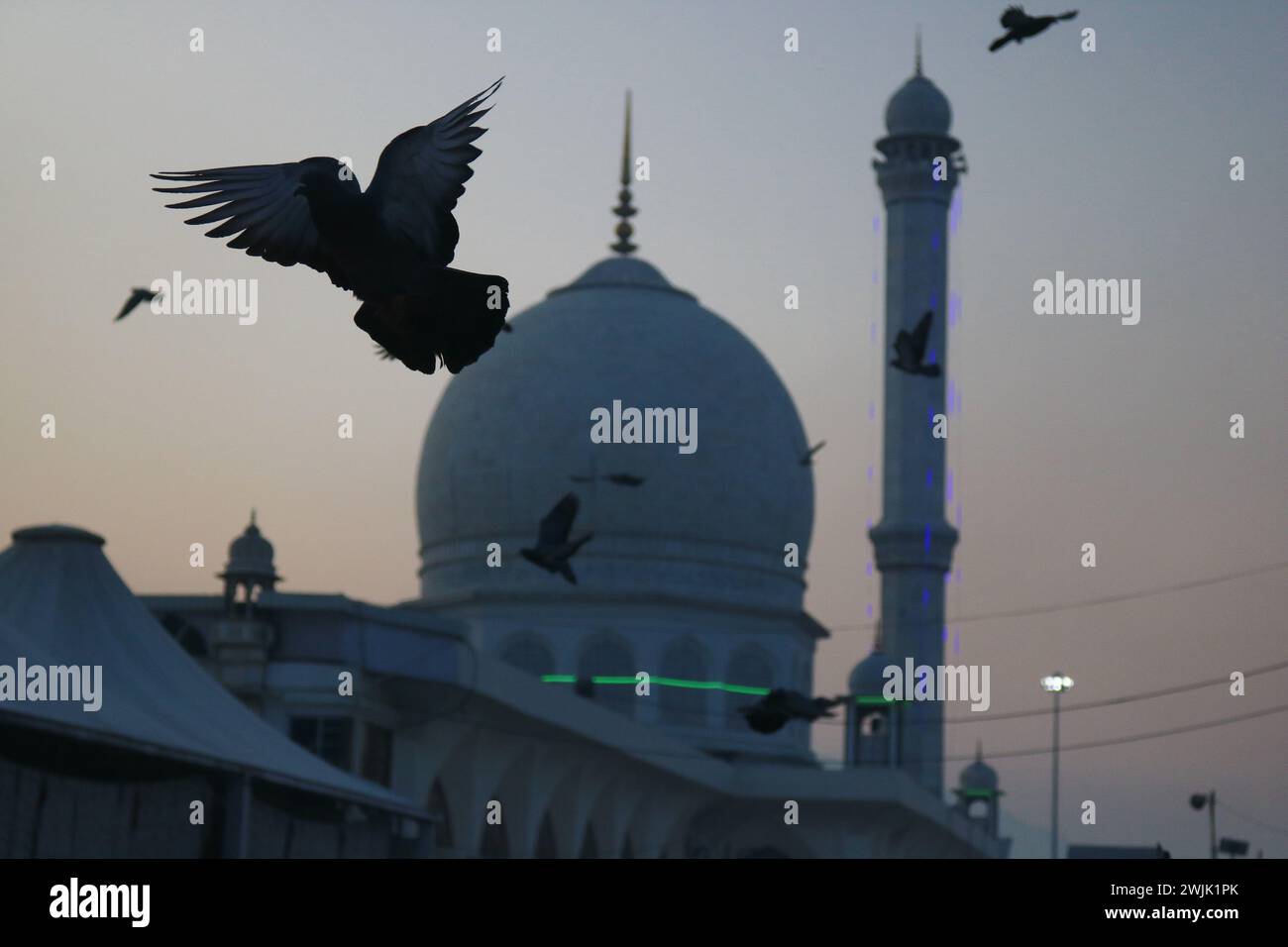 Srinagar, Cachemire, Inde. 16 février 2024. Les pigeons passent devant le sanctuaire Dargah Hazratbal, le vendredi suivant les célébrations de Miraj-ul-Alam (ascension au ciel). Le 16 février 2024 à Srinagar, Cachemire, Inde. (Crédit image : © Firdous Nazir/eyepix via ZUMA Press Wire) USAGE ÉDITORIAL SEULEMENT! Non destiné à UN USAGE commercial ! Banque D'Images