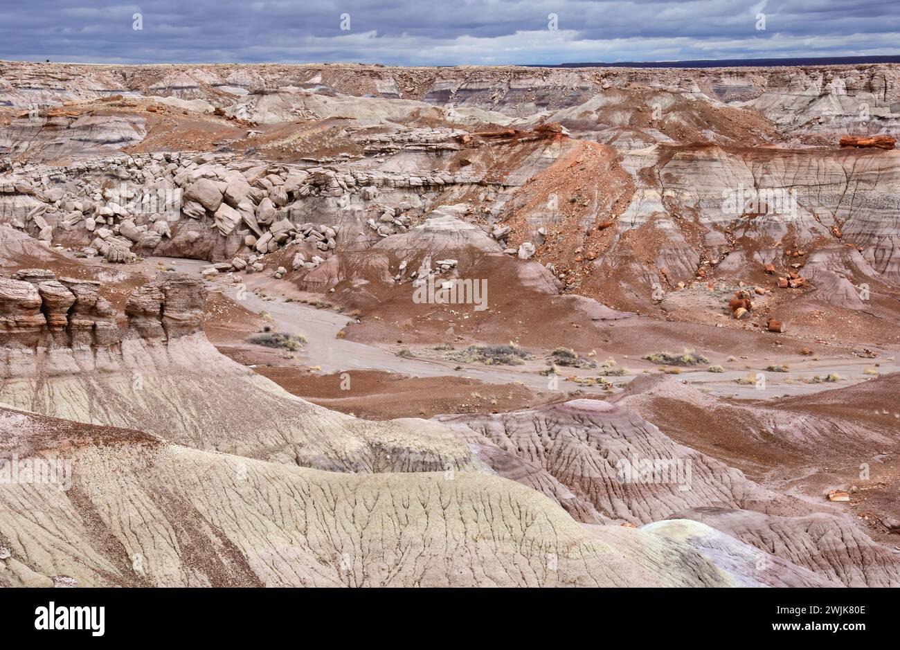 vue sur la zone bleue colorée de mesa badlands du parc national de forêt pétrifiée, arizona, par un jour d'hiver orageux Banque D'Images