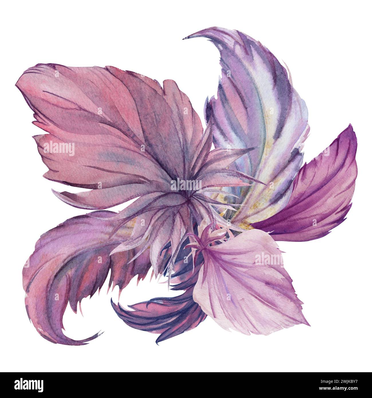 Aquarelle dessinée à la main plume d'oiseau plume plume Quill boho tribal ethnique indien violet. Composition isolée sur fond blanc. Design pour le charme, amulette Banque D'Images
