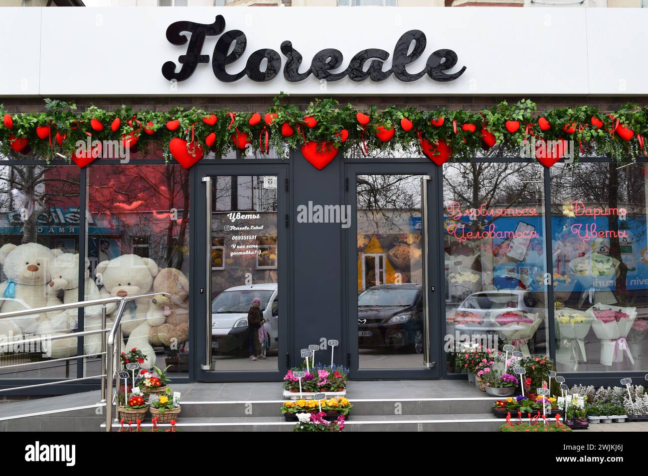 blooming amour dans chaque pétale et fleurs vertes en pot avec des coeurs et la joie du jardin avec la magie florale. Moments floraux et amour pour l'arragement de jardin p Banque D'Images