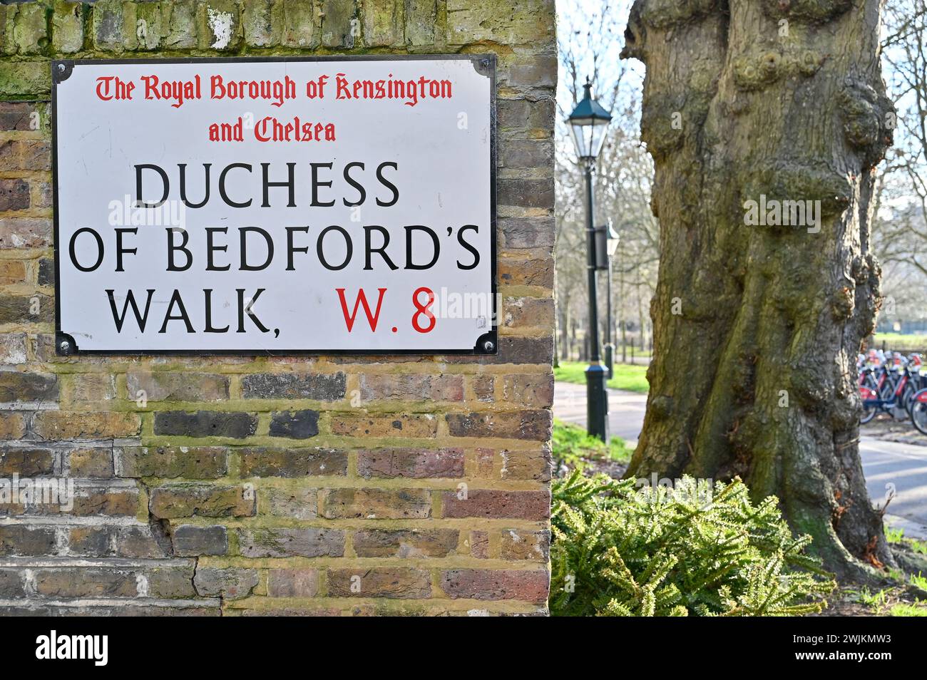Holland Walk : Découvrez la tranquillité de la nature au cœur de Londres Banque D'Images