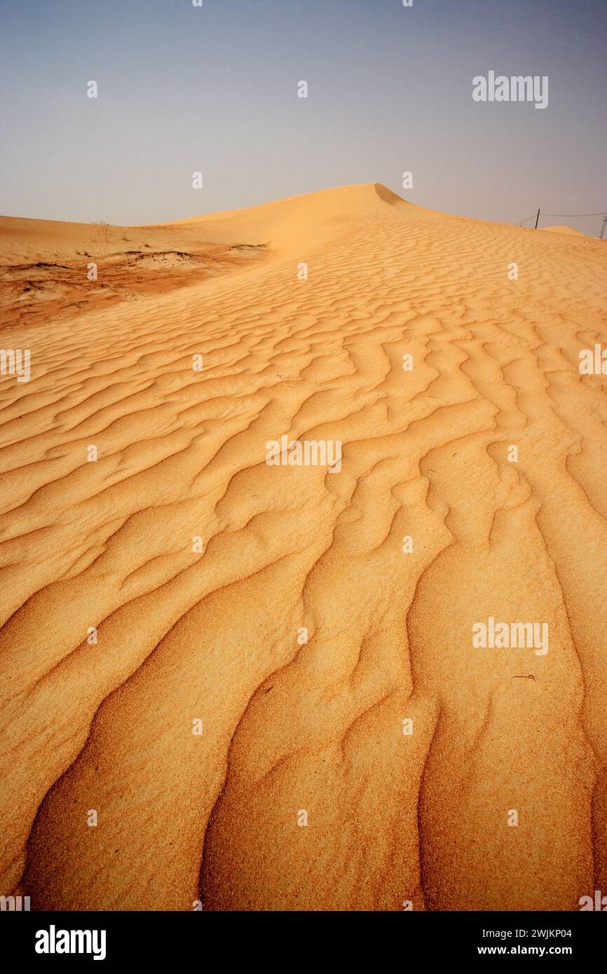 Dune de sable ondulée au moyen-Orient Banque D'Images