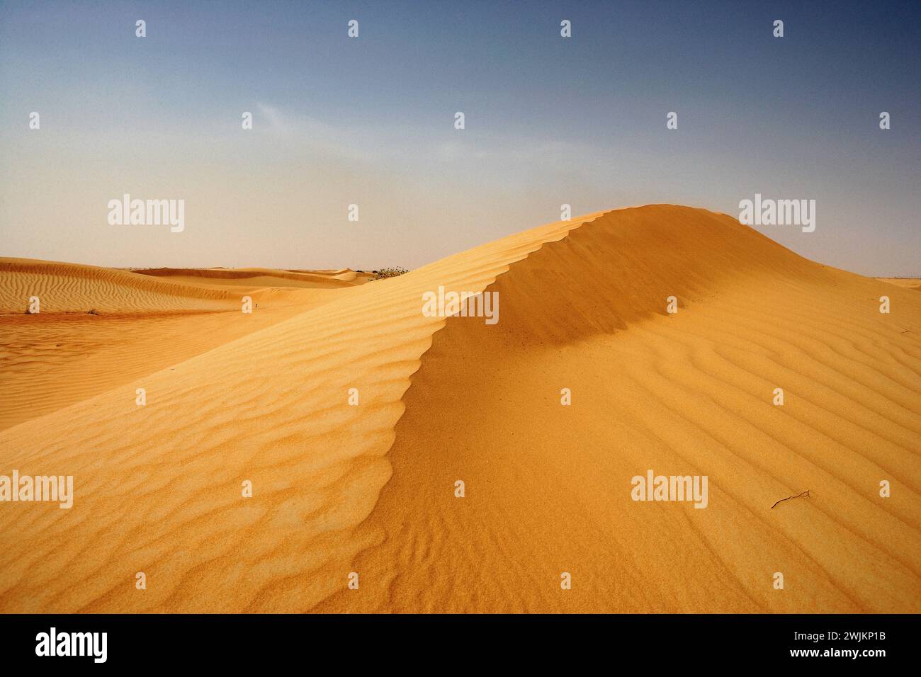 Crête de sable au moyen-Orient Banque D'Images
