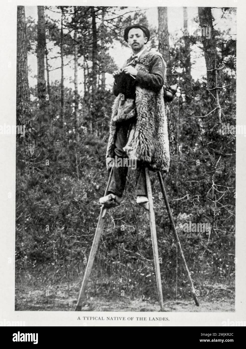 Un natif typique des Landes, France de l'article LE CONTRÔLE ET LA FIXATION DES SABLES MOBILES. Par John Gifford. Tiré de l'Engineering Magazine consacré au progrès industriel volume XIV octobre 1897 - mars 1898 The Engineering Magazine Co Banque D'Images
