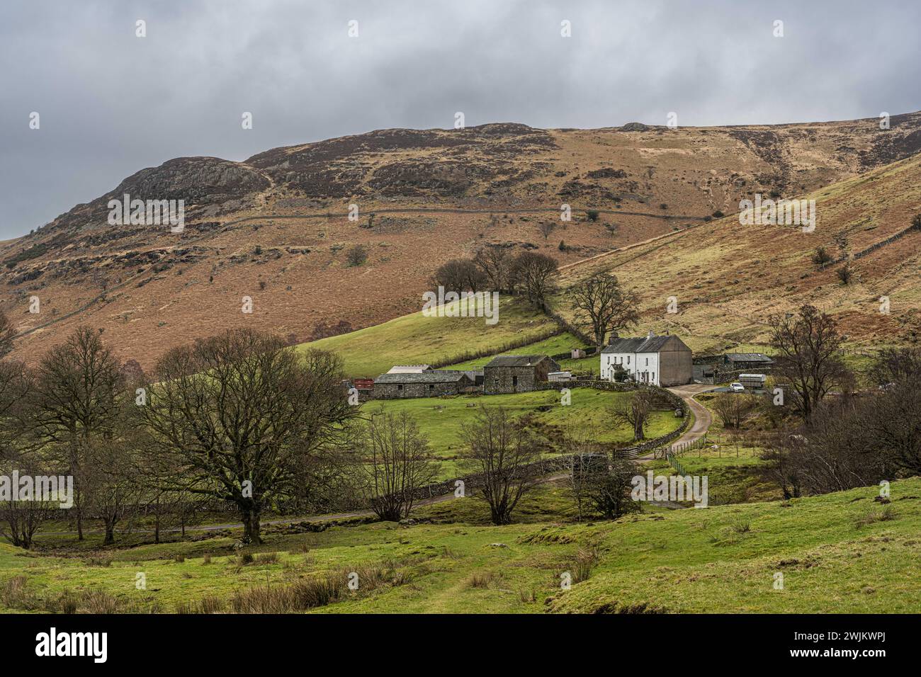 Ferme Lakeland Banque D'Images