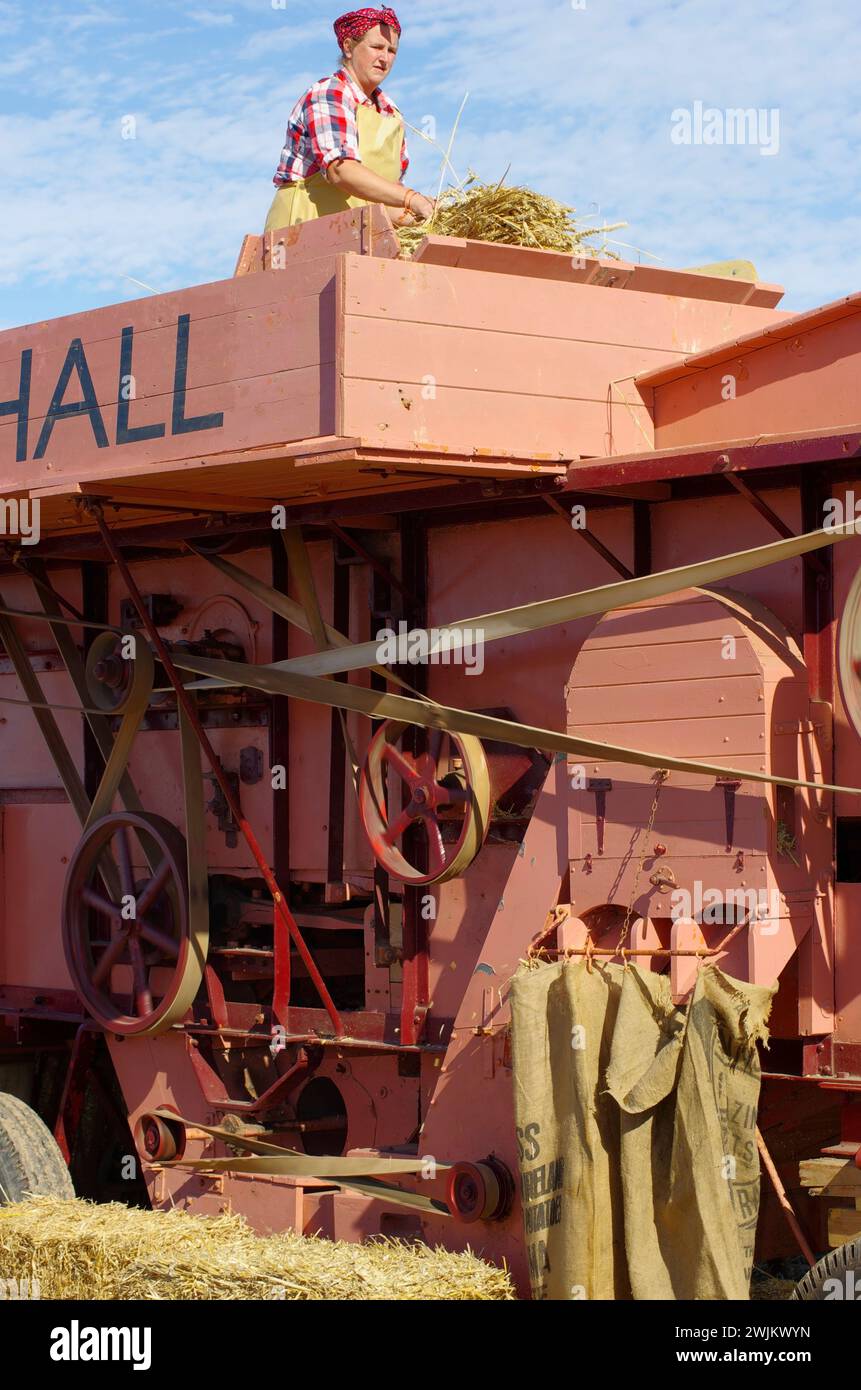 Vintage, battage, démonstration, St George, Conwy, pays de Galles du Nord, Royaume-Uni. Banque D'Images