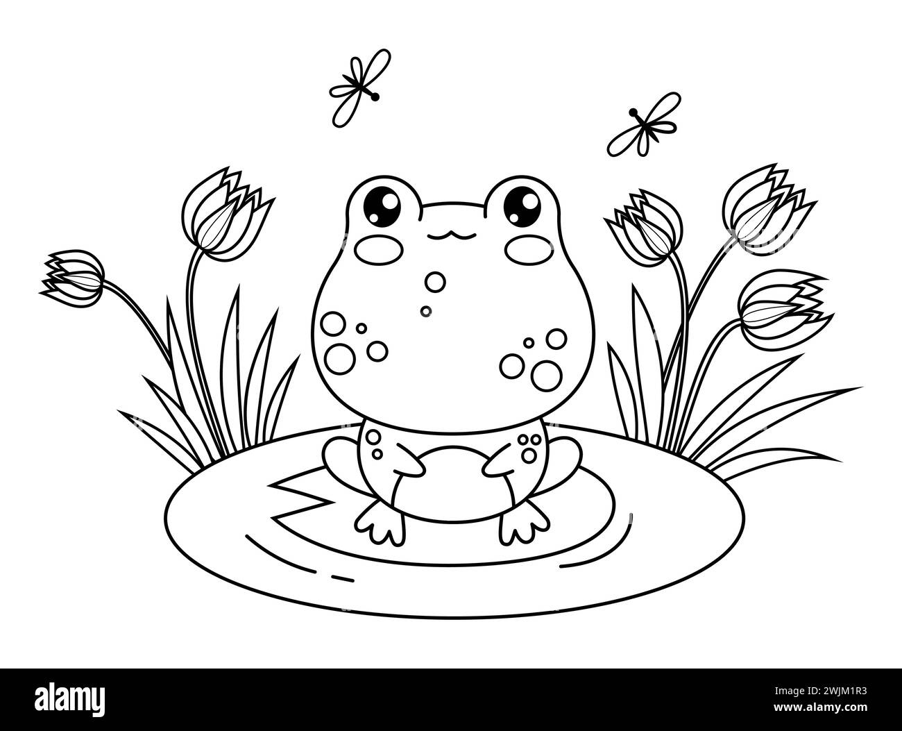 Mignonne grenouille sur feuille dans l'eau avec des fleurs. Caractère kawaii de contour animal. Illustration vectorielle. Dessin au trait, livre de coloriage. Collection enfants Illustration de Vecteur