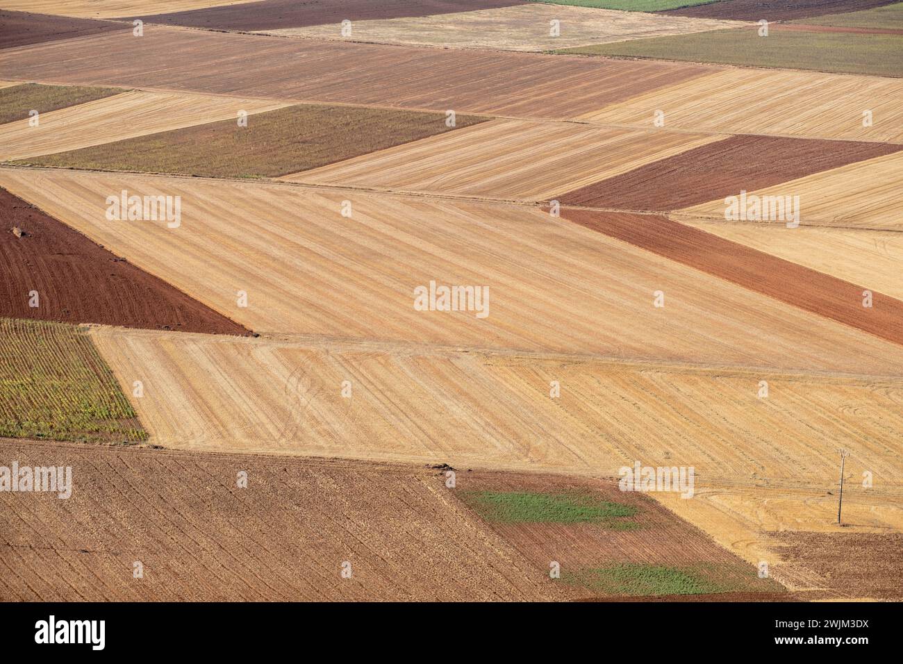 Campos de secano, Gormaz, Soria, Communauté autonome de Castille, Espagne, Europe Banque D'Images