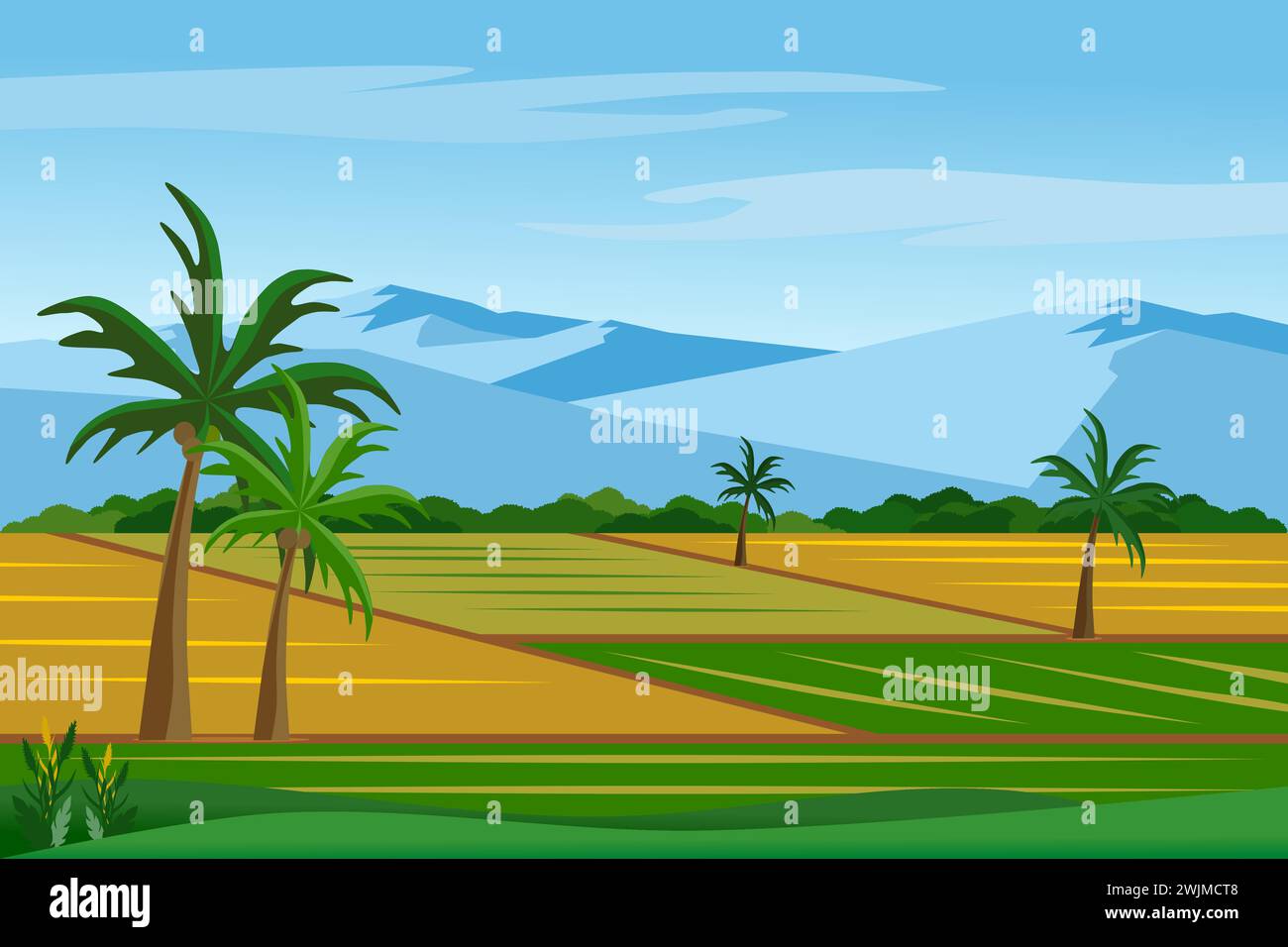 Beau paysage de rizières et de rizières avec illustration vectorielle de montagnes. Une vue sur un village paisible. Illustration de Vecteur