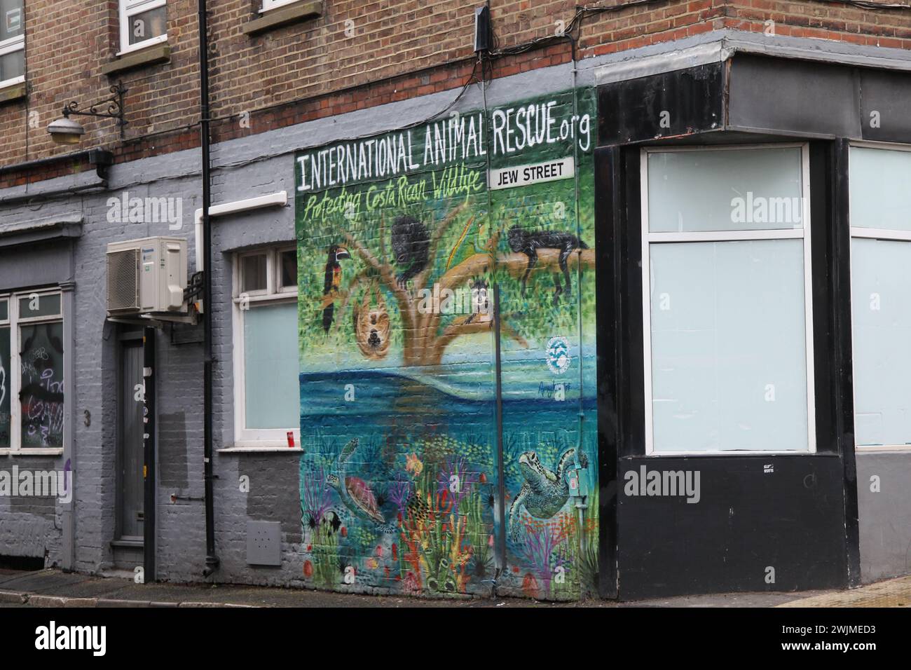 Graffiti de Jew Street pour International animal Rescue sur un mur à Brighton, Angleterre, Royaume-Uni, février 2024 Banque D'Images
