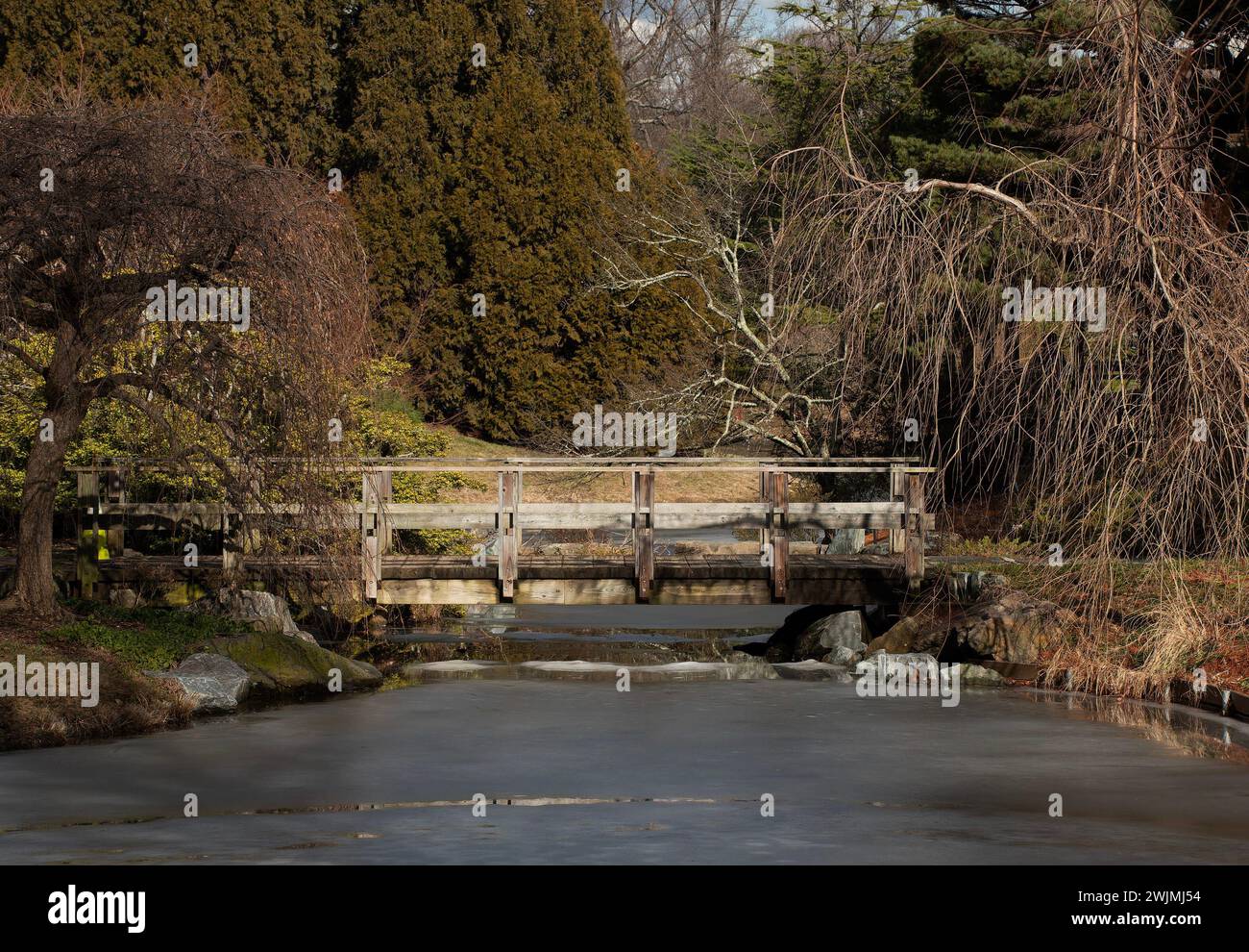 Un pont en bois vers une île dans un parc Banque D'Images