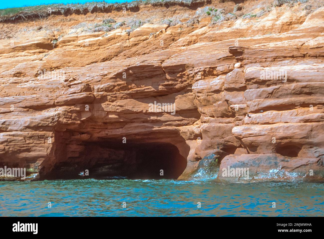 Falaises de grès sur la rive de l'île d'Entree, îles D'Madeleine (Îles-de-la-Madeleine)Golfe du Saint-Laurent, Québec, Canada.nidification des oiseaux marins Guillemot. Banque D'Images