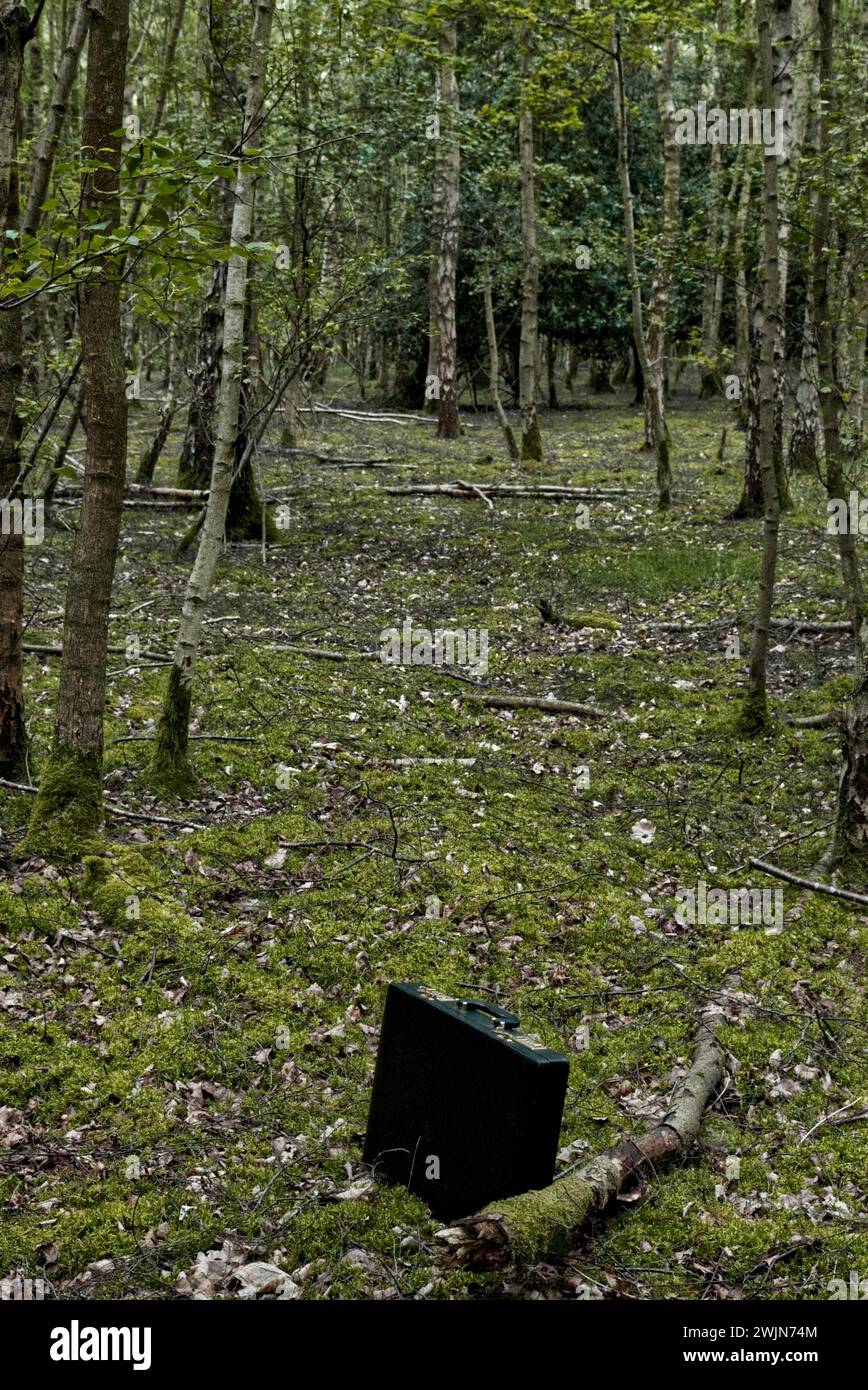 Mallette noire dans les bois, perdu abandonné, thème de couverture de livre d'aventure thriller. Banque D'Images