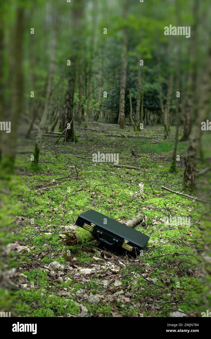 Mallette noire dans les bois, perdu abandonné, thème de couverture de livre d'aventure thriller. Banque D'Images