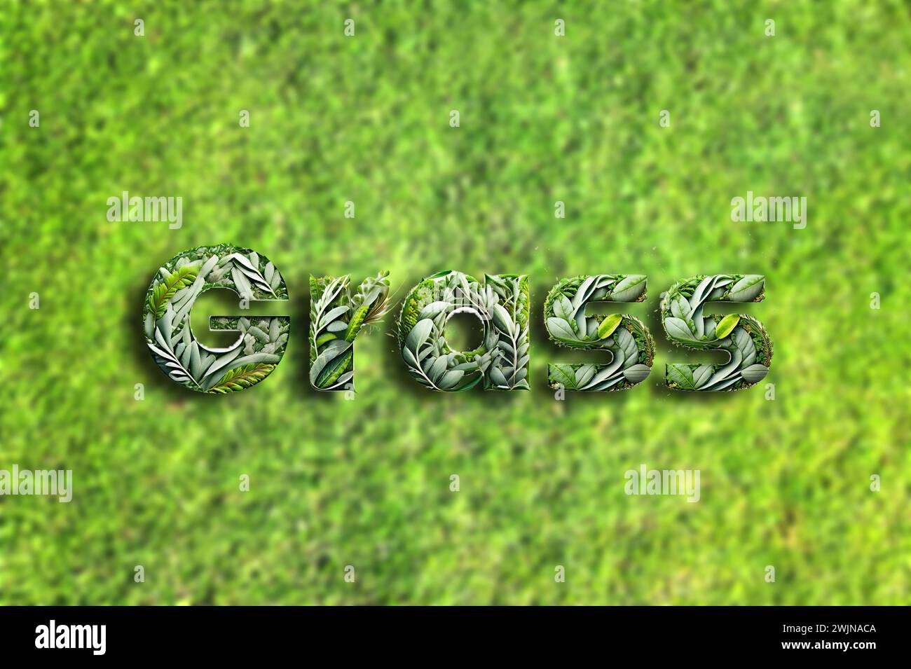 HERBE mot fait d'HERBE verte, sur une toile de fond d'herbe Banque D'Images