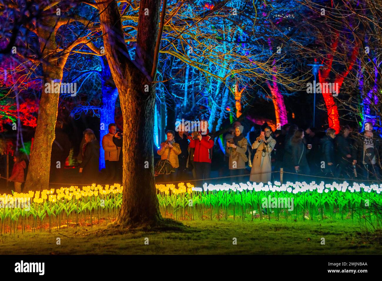 Parkleuchten, événement en hiver, dans le Grugapark à Essen, de nombreuses installations lumineuses différentes, à travers le parc, attirent plusieurs milliers de visiteurs, NRW Banque D'Images