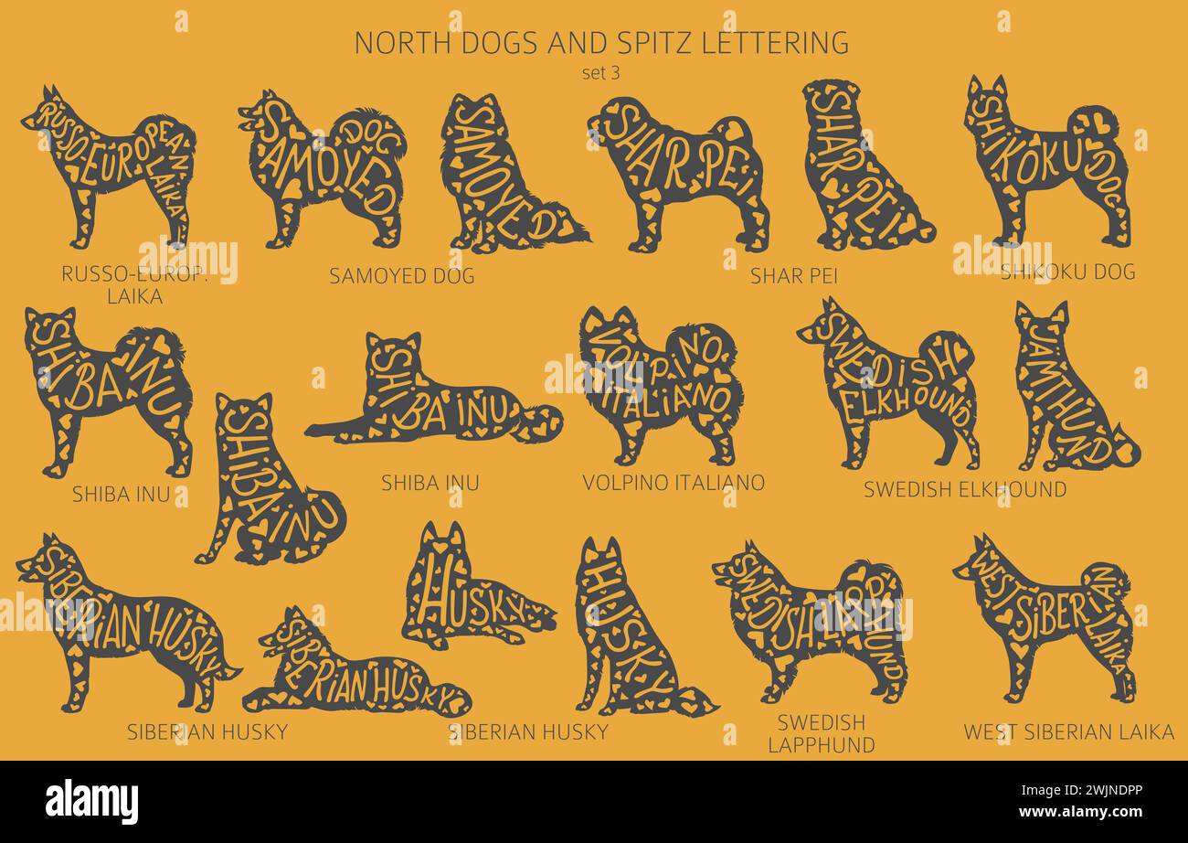 Chien élève des silhouettes avec lettrage, clipart de style simple. Collection North Dogs et Spitz. Illustration vectorielle Illustration de Vecteur