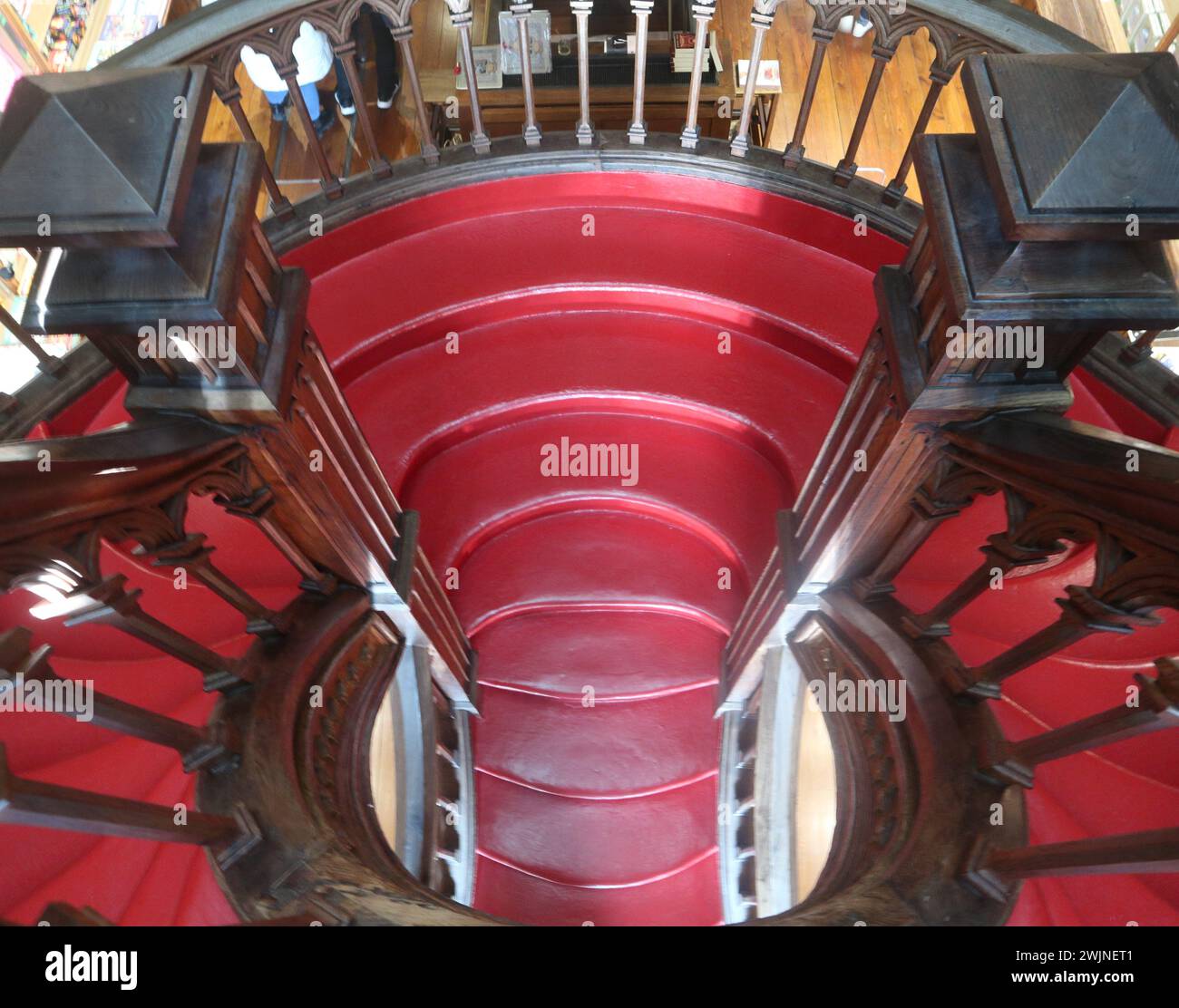 La plus belle librairie du monde Harry Potter Porto Portugal Livraria Lello Banque D'Images