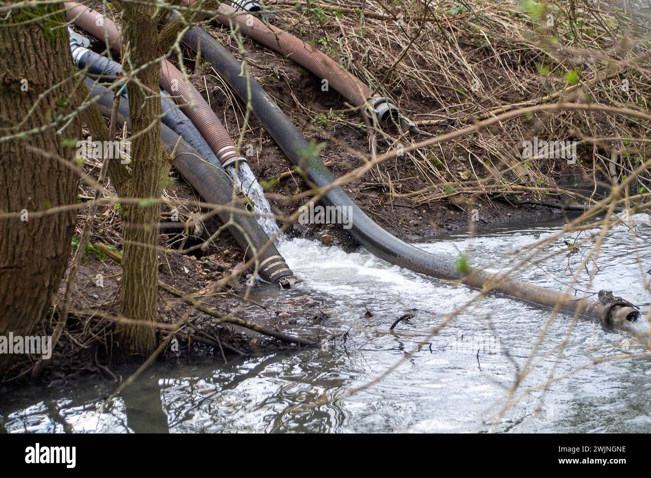 Amersham, Royaume-Uni. 16 février 2024. Les eaux de la Tamise se déversent dans la rivière Misbourne, un précieux ruisseau de craie, à Amersham dans les bassins d'équilibrage Amersham dans le Buckinghamshire. Surveillance de la durée des événements de l'eau de Tamise il reste hors d'action, cependant, il y a des preuves claires de champignons d'eaux usées dans la rivière et une puanteur d'eaux usées. La rivière Misbourne est un ruisseau de craie qui coule de sa source juste au nord de Great Missenden à travers plusieurs villes du Buckinghamshire. Les ruisseaux de craie sont des habitats rares dans le monde entier. Crédit : Mauren McLean/Alamy Live News Banque D'Images