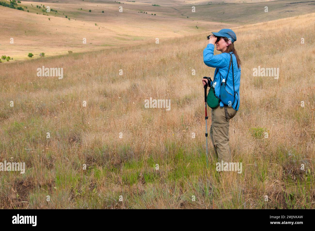 L'observation des oiseaux le long d'Alouette, sentier de prairie à Zumwalt, Oregon Banque D'Images