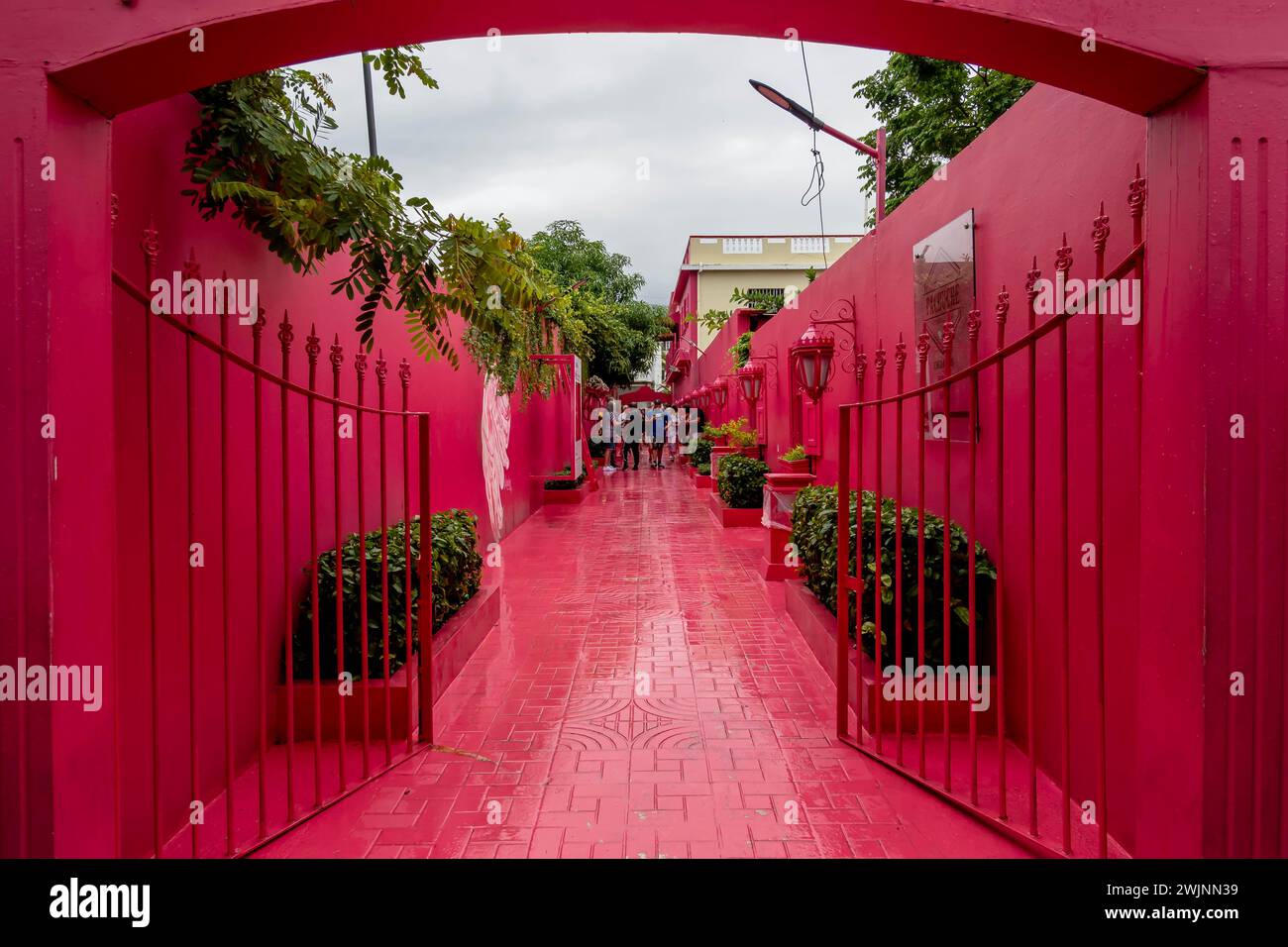 Puerto Plata, Puerto Plata, États-Unis. 30 janvier 2024. Le Paseo de DoÃ±a Blanca, la rue rose de Puerto Plata, séduit par sa beauté. Niché dans le centre-ville, c'est un endroit pittoresque pour de superbes photos et vidéos (crédit image : © Walter G Arce Sr Grindstone Medi/ASP) USAGE ÉDITORIAL SEULEMENT! Non destiné à UN USAGE commercial ! Banque D'Images