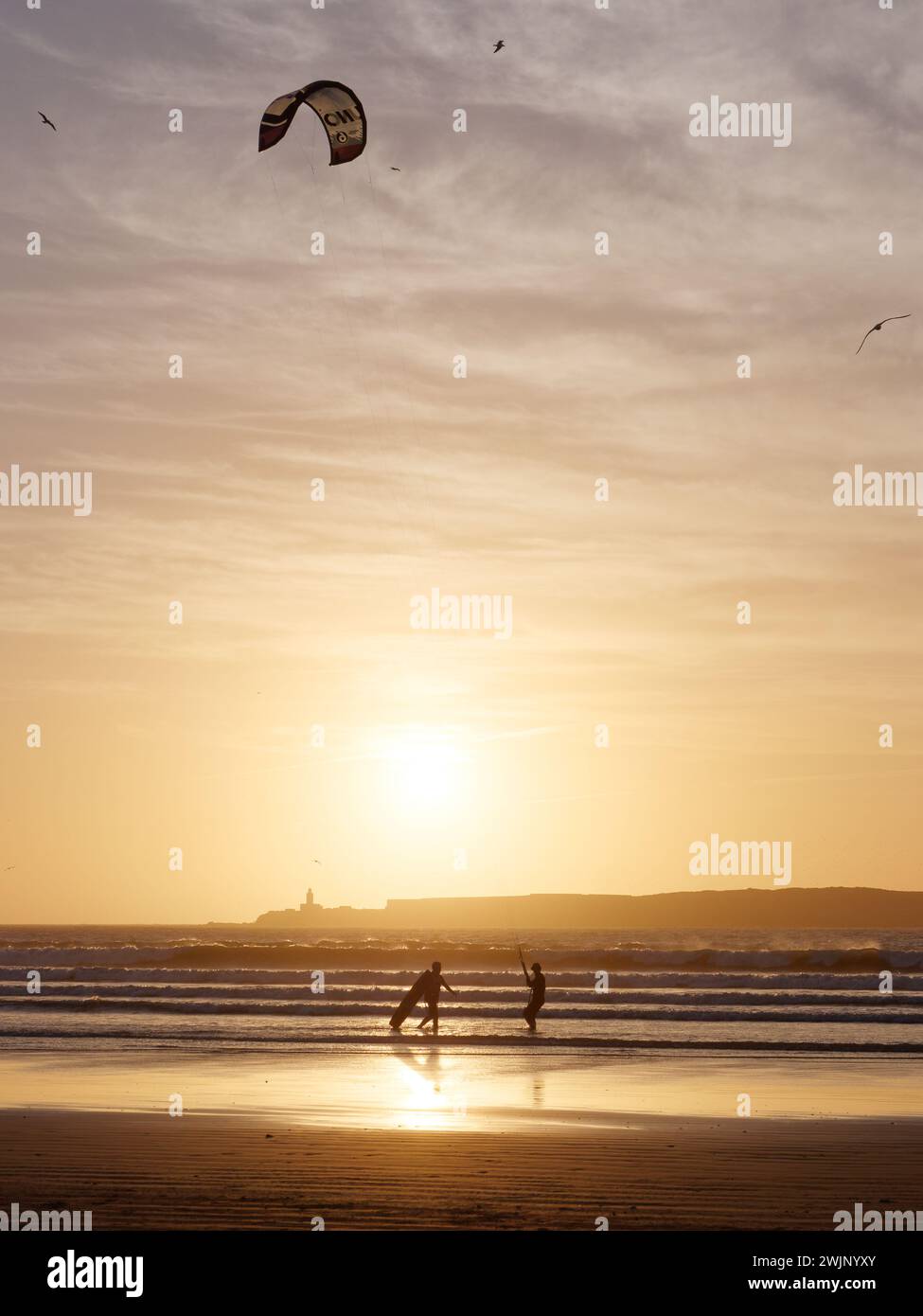 Kite surfeurs sur une plage de sable au coucher du soleil avec une île derrière comme les vagues roulent, à Essaouira, Maroc. 16 février 2024 Banque D'Images