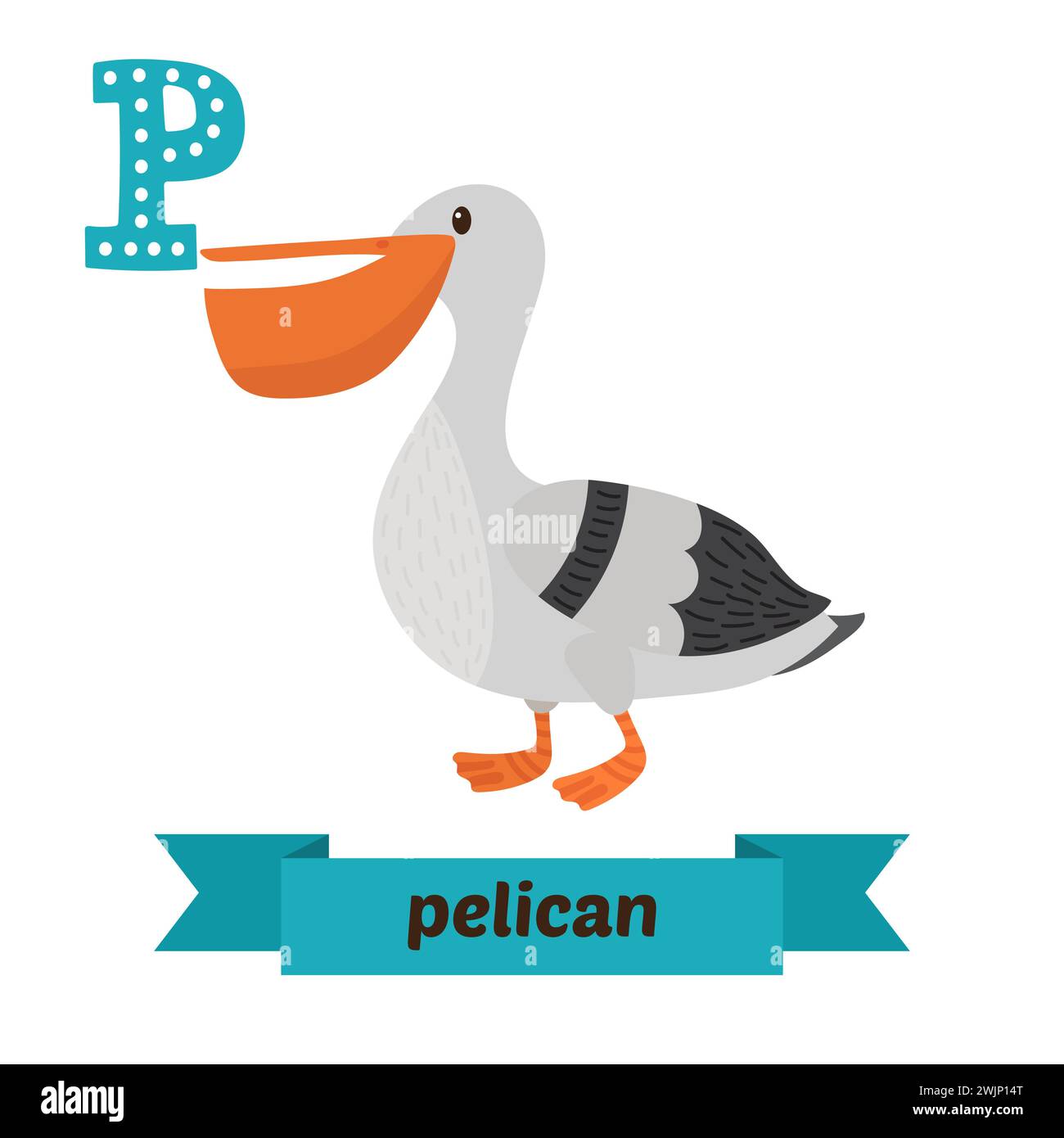 Pelican. Lettre P. Mignon enfants alphabet animal dans le vecteur. Animaux de dessin animé drôles. Illustration vectorielle Illustration de Vecteur