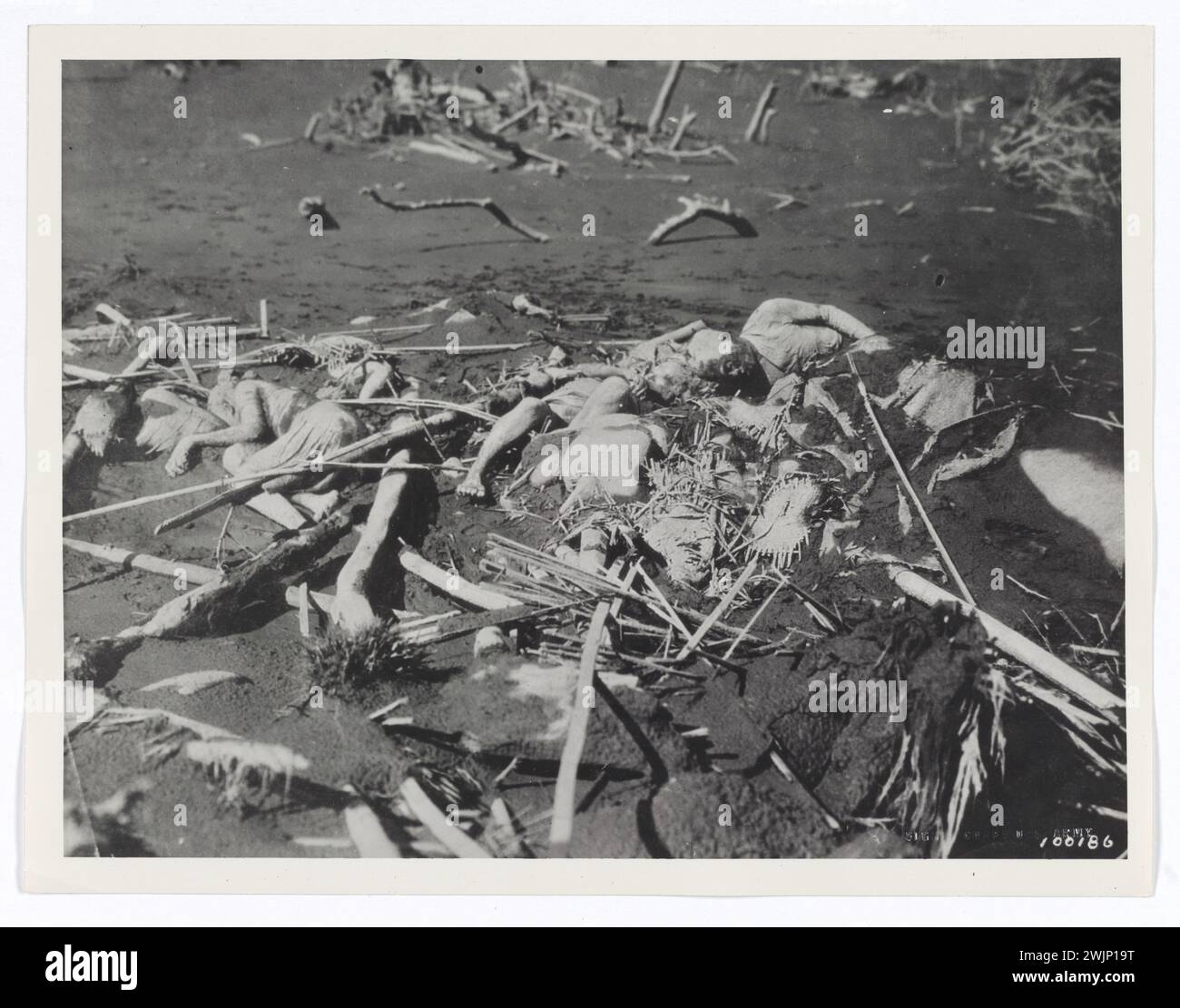 Luzon, Îles Philippines. Suite à l’éruption du volcan Taal du 30 janvier 1911, les corps des victimes de l’éruption gisaient sur le terrain, partiellement couverts de cendres. Plus de 1300 personnes sont mortes de l’éruption. Banque D'Images