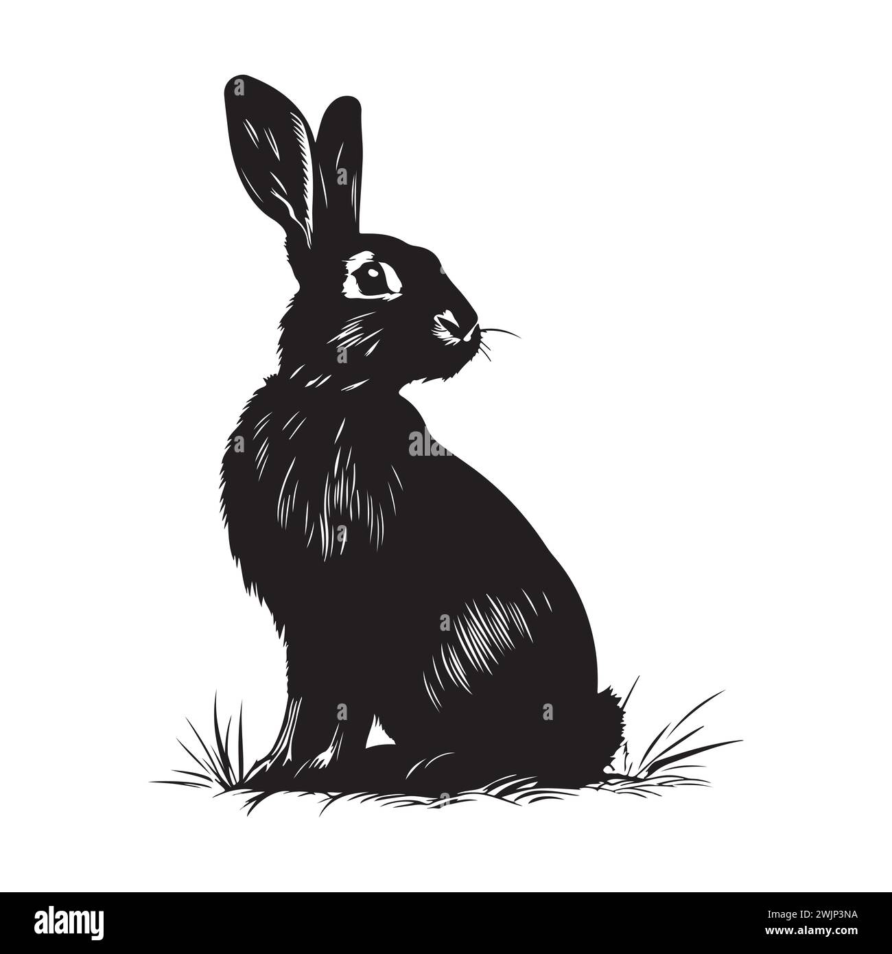 Esquissez une illustration réaliste de silhouette de lapin. Silhouette d'encre noire de lapin de Pâques fourré sur fond blanc. Illustration de Vecteur