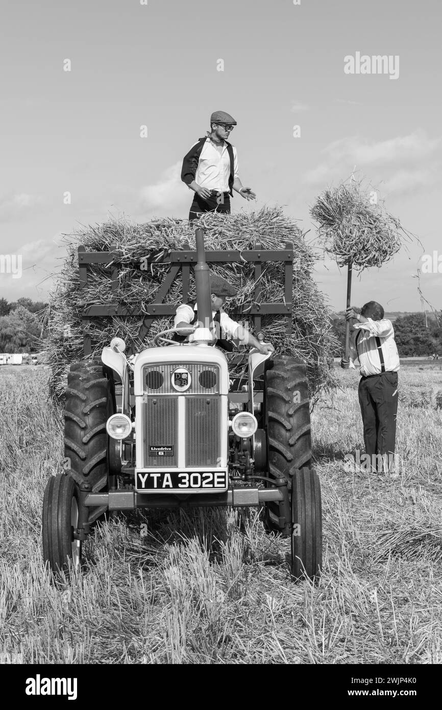 Drayton.Somerset.United kingdom.August 19th 2023.Entusiasts chargent des paquets de paille sur une remorque tirée par un David Brown Selectamatic 990 Banque D'Images