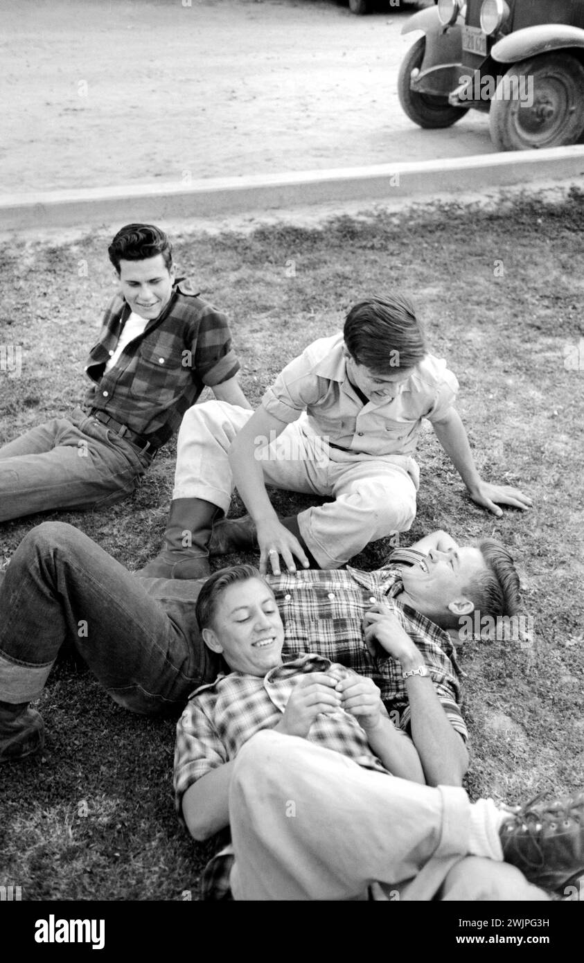 Groupe de jeunes hommes se relaxant sur la pelouse, Imperial County Fair, El Centro, Californie, États-Unis, Russell Lee, U.S. Farm Security Administration, mars 1942 Banque D'Images