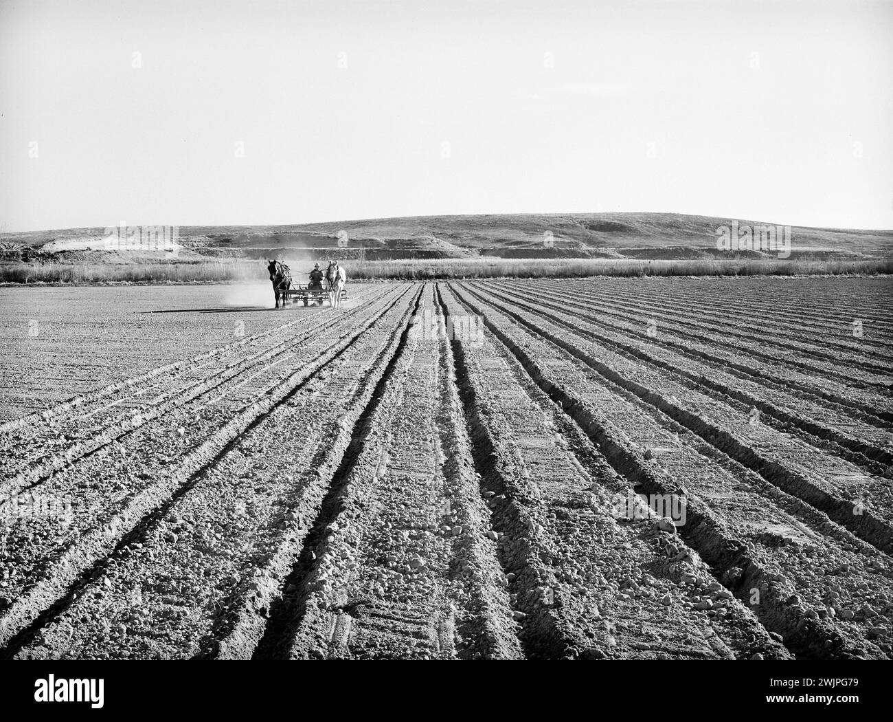 Fermier disçant ses terres, projet Black Canyon, comté de Canyon, Idaho, États-Unis, Russell Lee, U.S. Farm Security Administration, novembre 1941 Banque D'Images