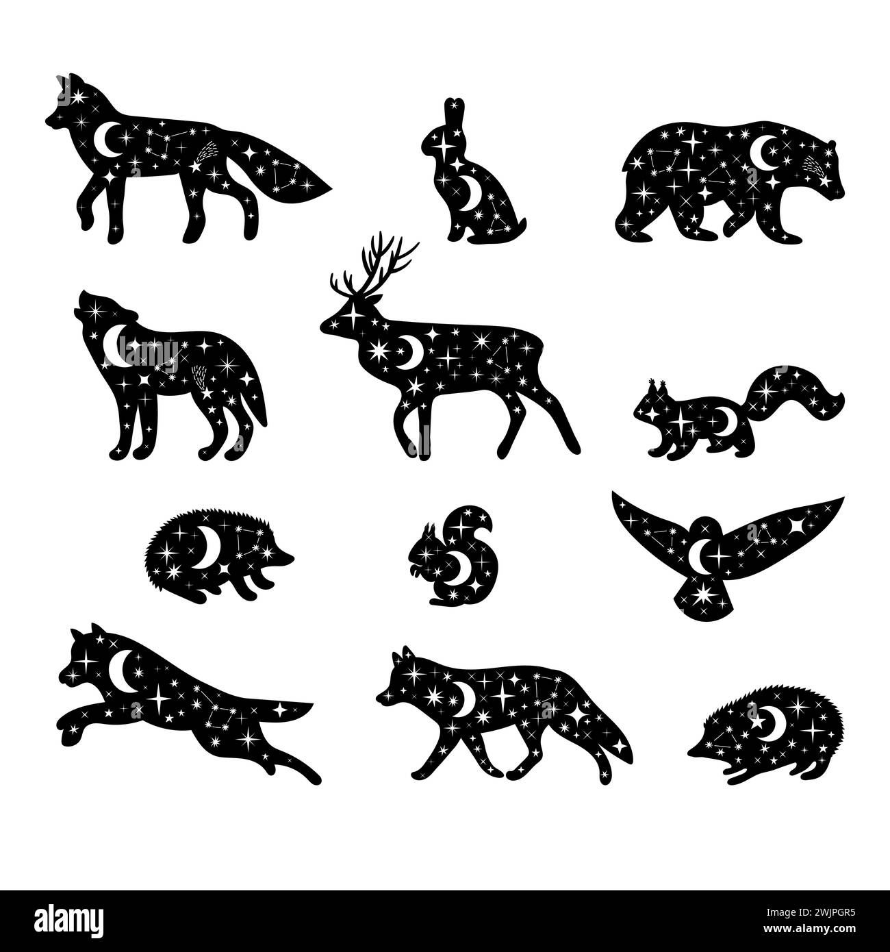 Animaux forestiers célestes. Silhouettes dessinées à la main. Animaux sauvages des bois. Étoiles, lune, univers. Illustration vectorielle Illustration de Vecteur