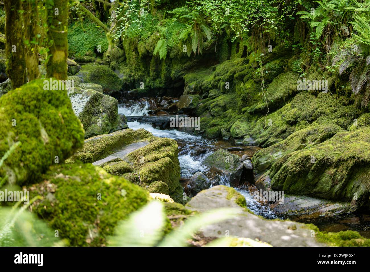 De petites chutes d'eau près de Torc Waterfall, l'une des attractions touristiques les plus populaires en Irlande, situé dans les bois du parc national de Killarney. L'arrêt de l'enquête Banque D'Images