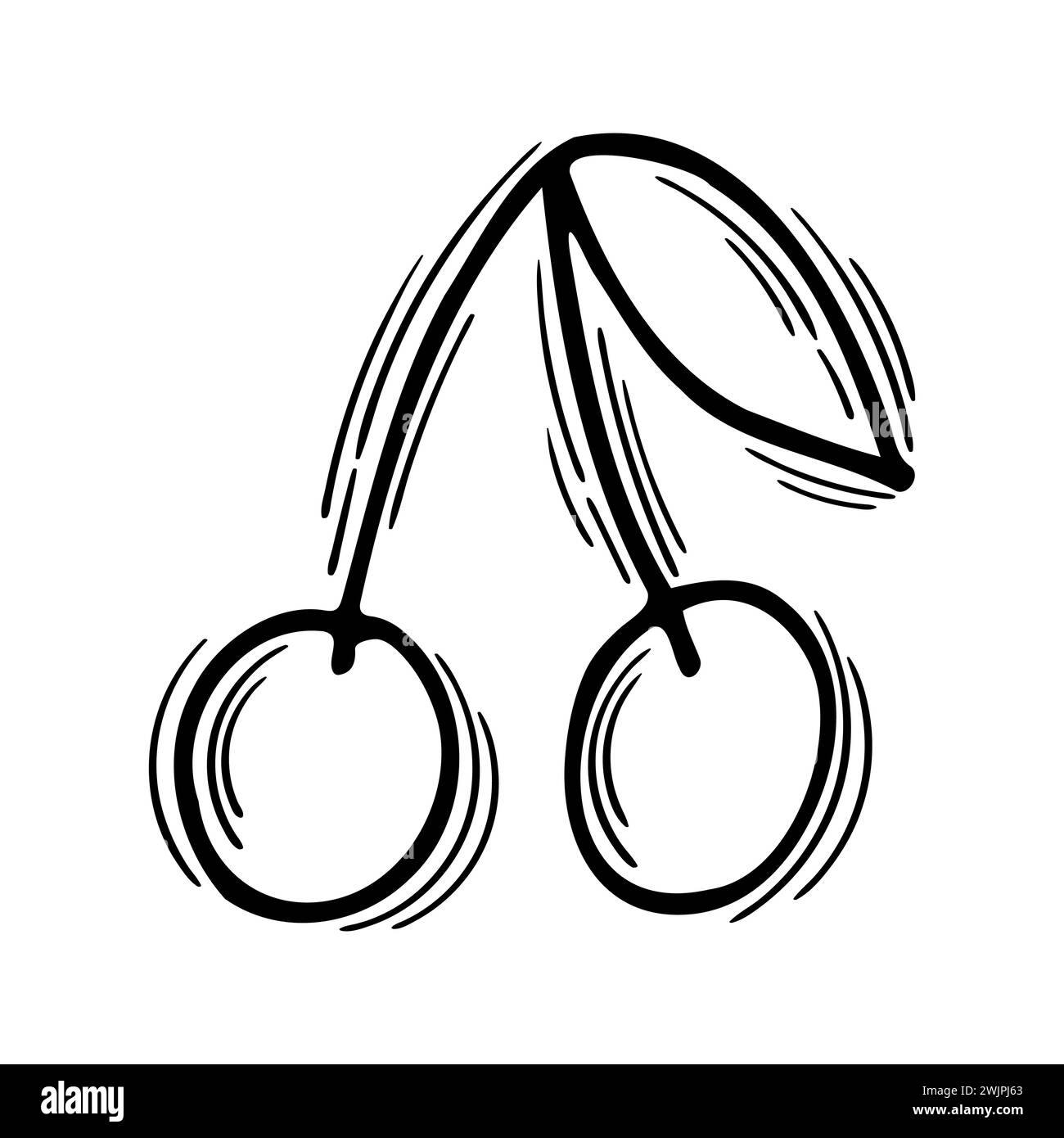 Cerise dessinée à la main sur fond blanc. Mignon élément d'été. Doodle, sketch. Illustration vectorielle Illustration de Vecteur
