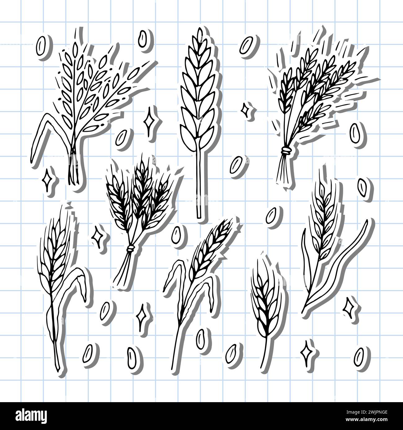 Jeu d'épis de blé dessinés à la main. Épillets à grains. Doodle, sketch. Éléments de conception de boulangerie. Illustration vectorielle Illustration de Vecteur