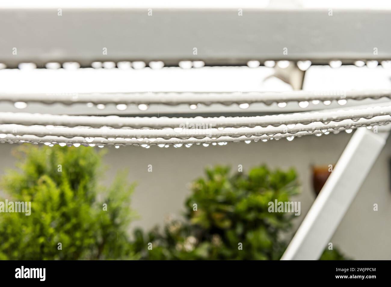 Une corde à linge pliante en plastique blanc remplie de gouttes d'eau de pluie située sur une terrasse pleine de plantes vertes Banque D'Images