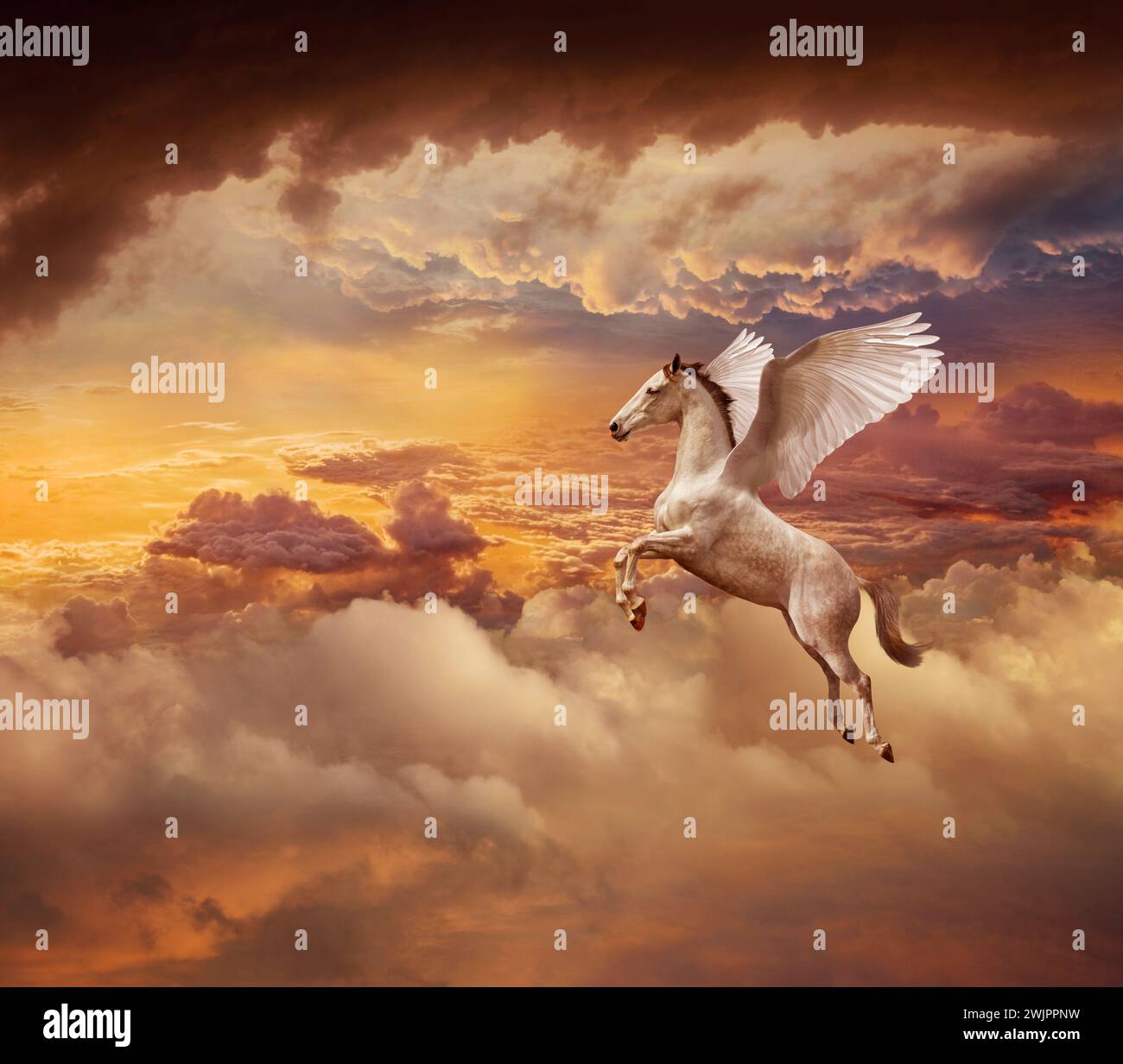 Pegasus, un cheval ailé mythologique, vole à travers un paysage de nuages de coucher de soleil dramatique dans une image d'imagination, de mythe, de possibilités et de pureté. Banque D'Images
