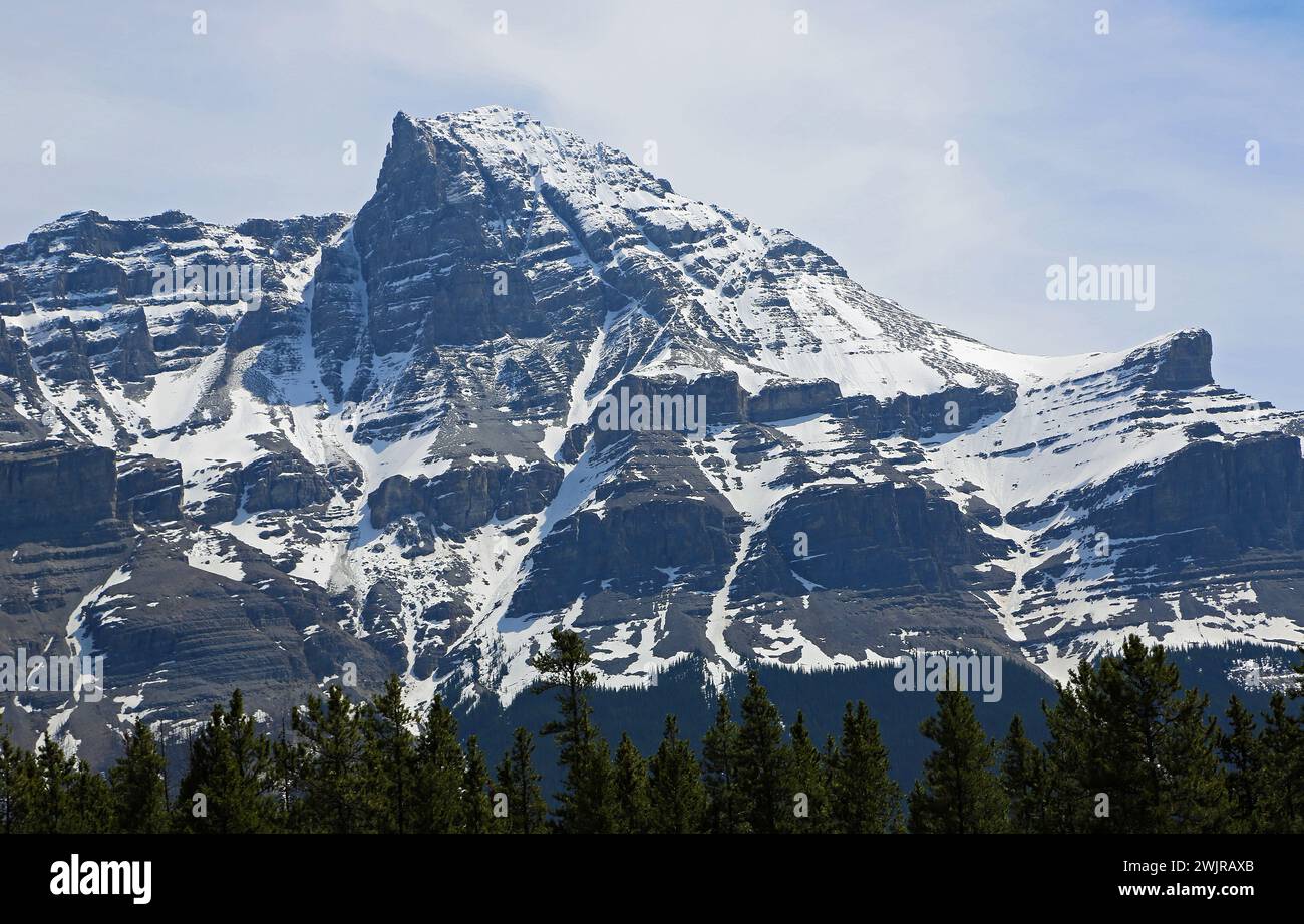 Mont Murchison, montagnes Rocheuses, Canada Banque D'Images